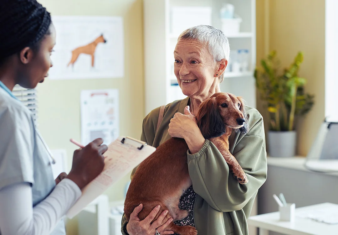 A older woman holds her elderly dog and chats with a veterinarian
