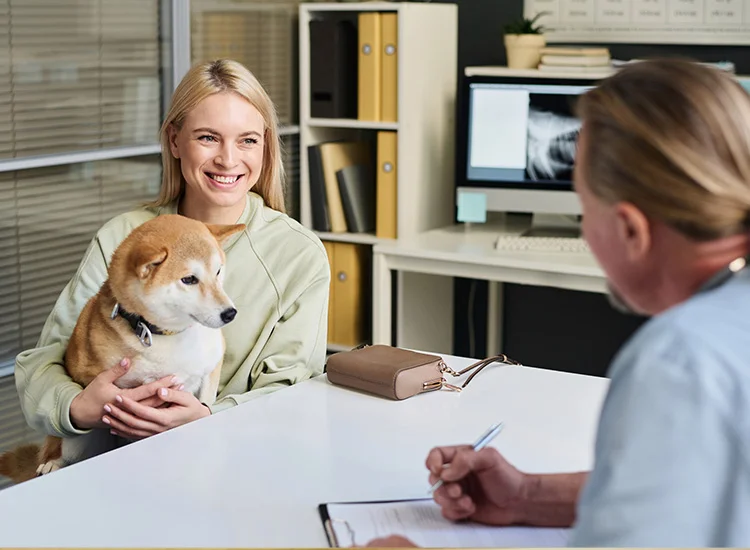 A young woman smile while talking to a vet and holding her dog
